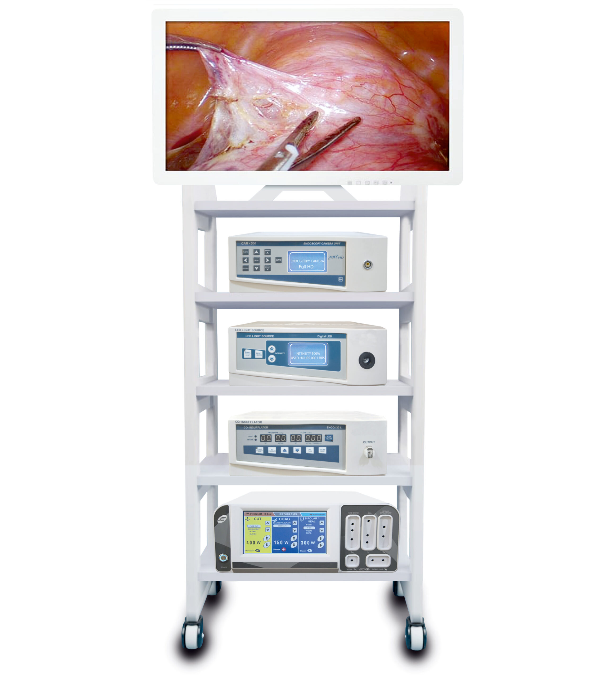 (TH-35-OT) Advanced Endoscopy Unit