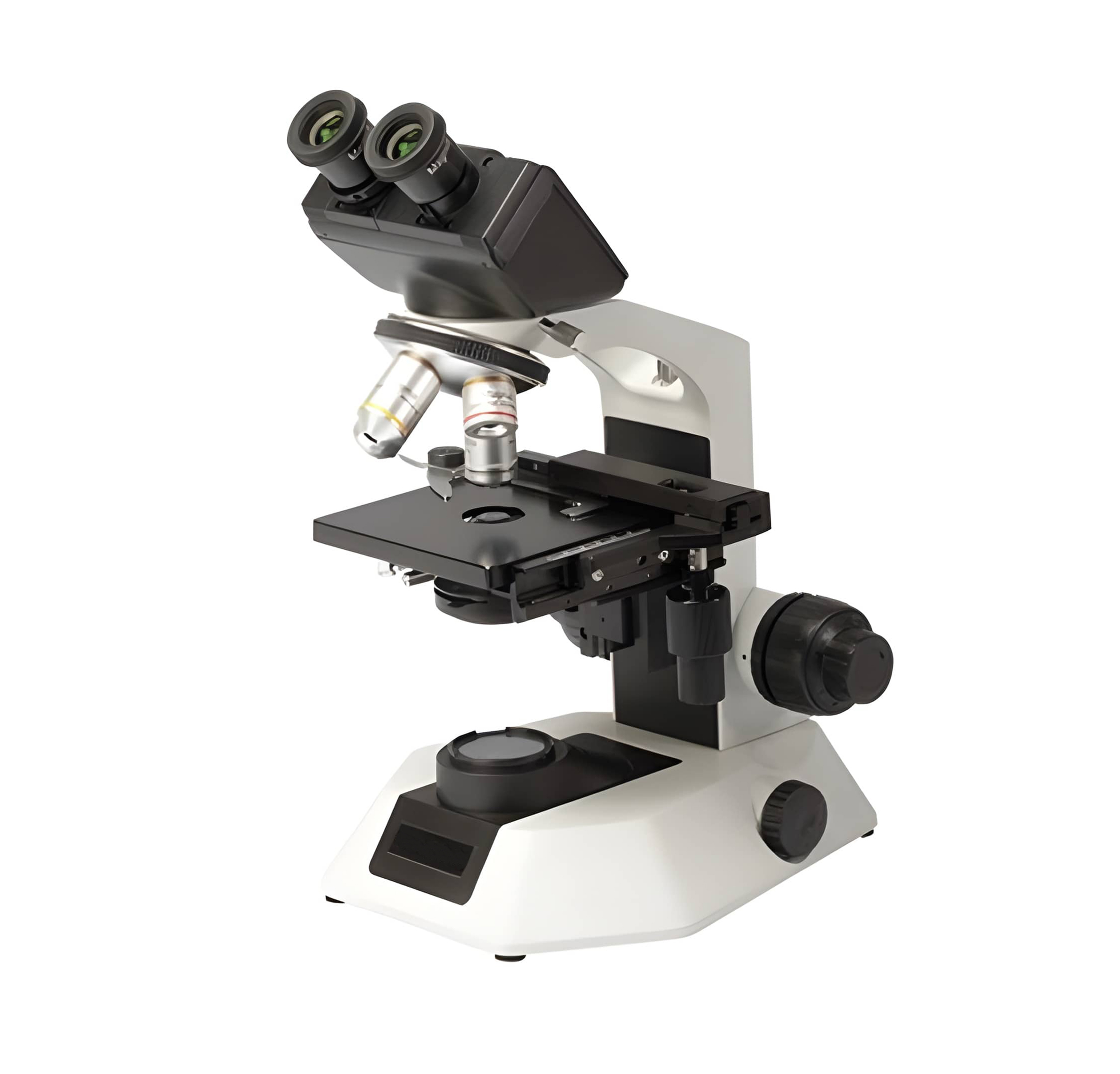 Microscope - Binocular