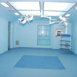 (TH-04-OT) Anti Bacterial Paint